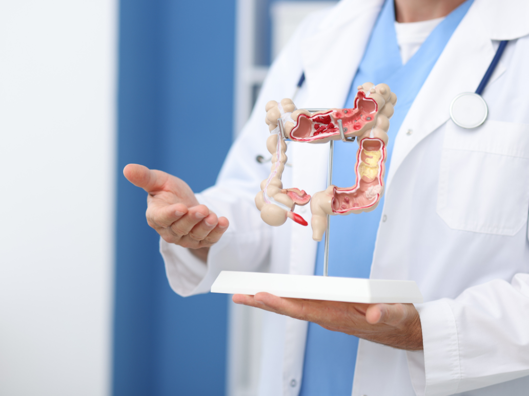 gastroenterologia